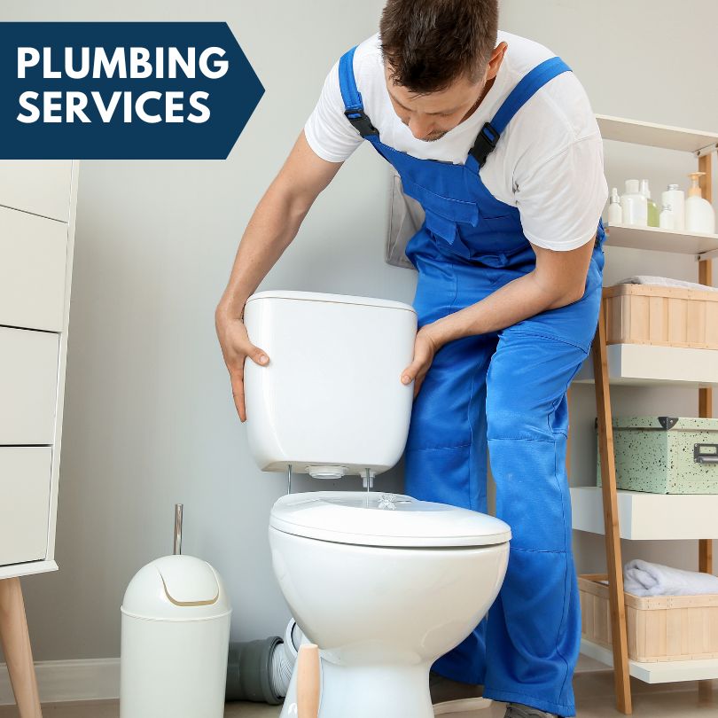 Plumbing Company in Louvale, GA
